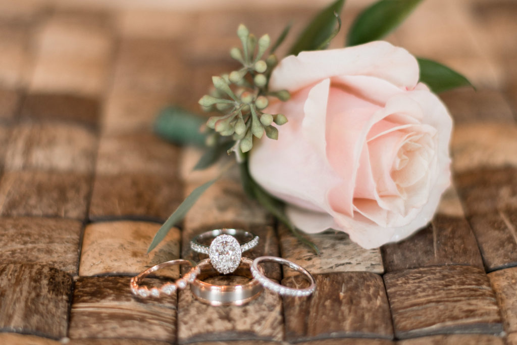 charlotte wedding photographers destination wedding in tampa florida shot of rings next to rose