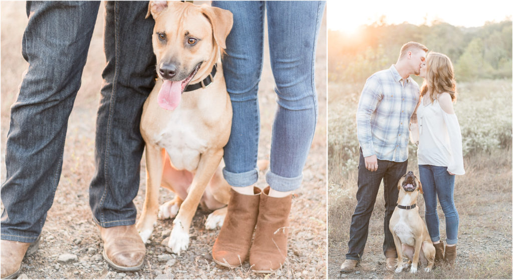 charlotte engagement photography shot of couple and their dog kissing at sunset