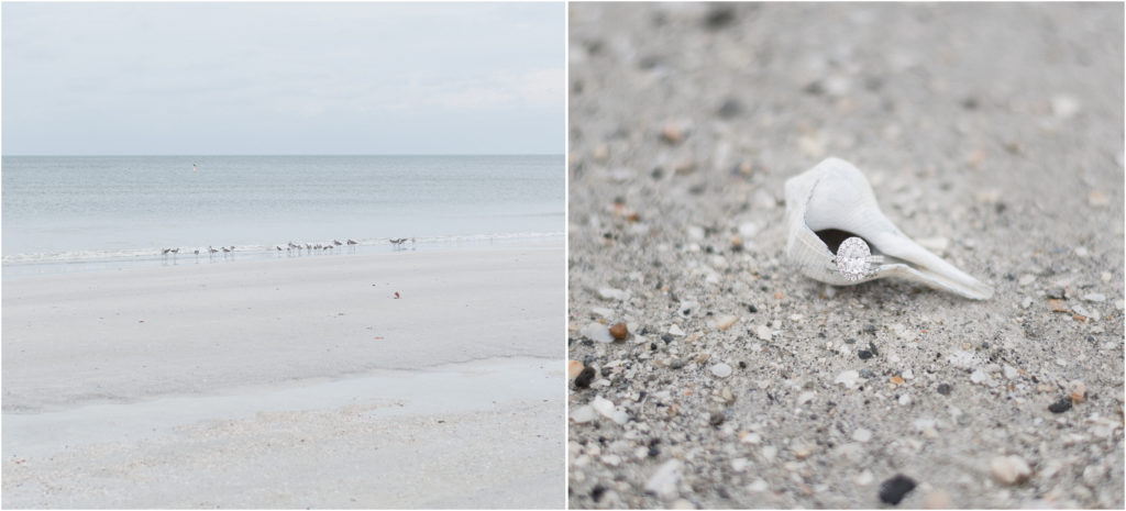 charlotte wedding photographers destination wedding in tampa florida beach and diamond ring