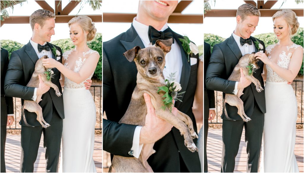 firethorne country club wedding dog portraits bride and groom
