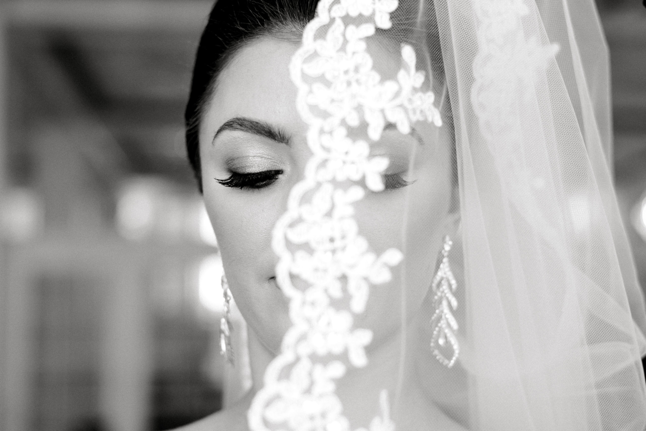 bride and veil