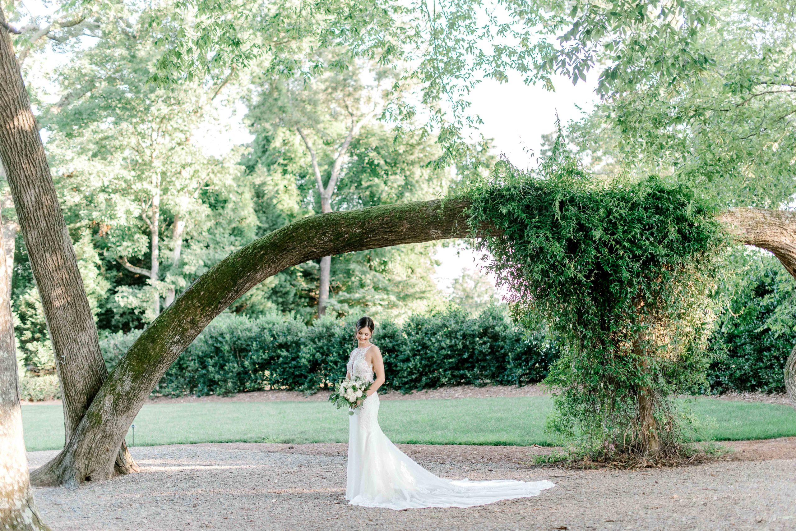 bride with large oak tree